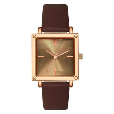 Quadrante di Mesh Strap Women Quartz Wrist/di cuoio orologio 30M Life Waterproof Square non della scala