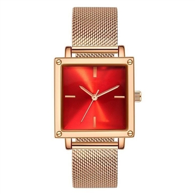 Quadrante di Mesh Strap Women Quartz Wrist/di cuoio orologio 30M Life Waterproof Square non della scala
