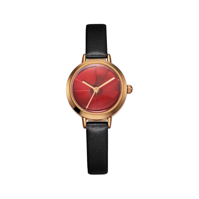 Le donne antiurto del quarzo di Shell Casual Automatic Watch Waterproof guardano