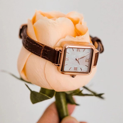 Il modo quadrato Roman Watch Slim Belt delle piccole di Brown donne di cuoio dell'orologio